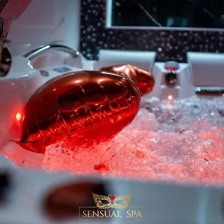 Apartament Sensual Spa- Jacuzzi Hammam Terrasse Nancy